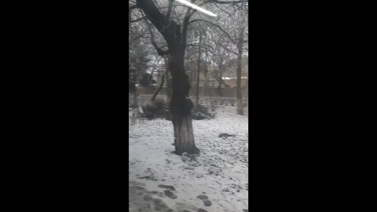 @Вербицкая Светлана