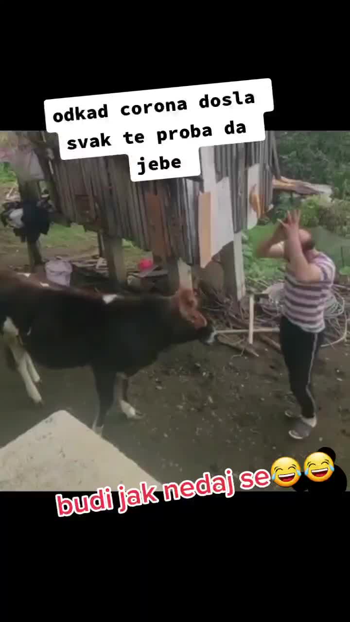 @Manuel ℰ⁶⁰ ⁵³⁵