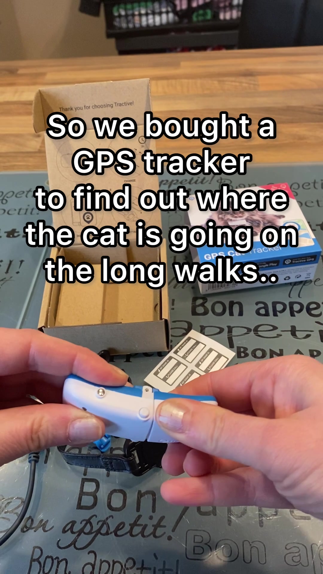 @Marielethecat