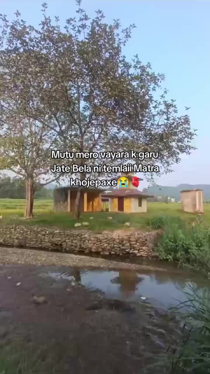 @46%