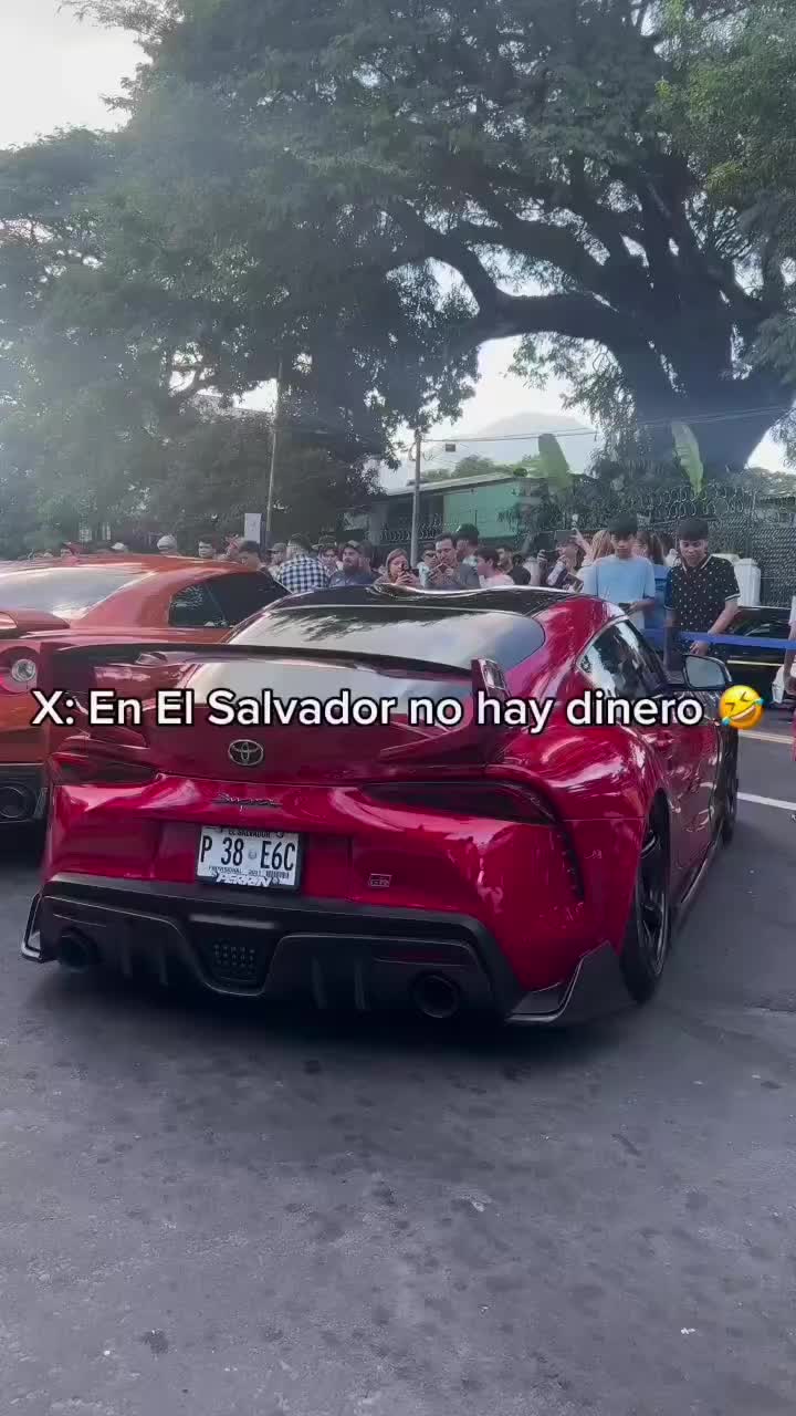 @grifo