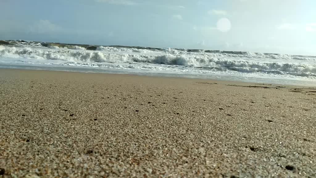 @Arpita___Dinesh