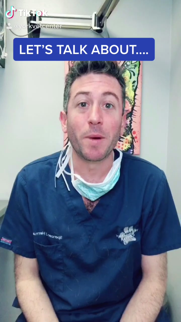 @Dr. Spencer J. Herman, DVM