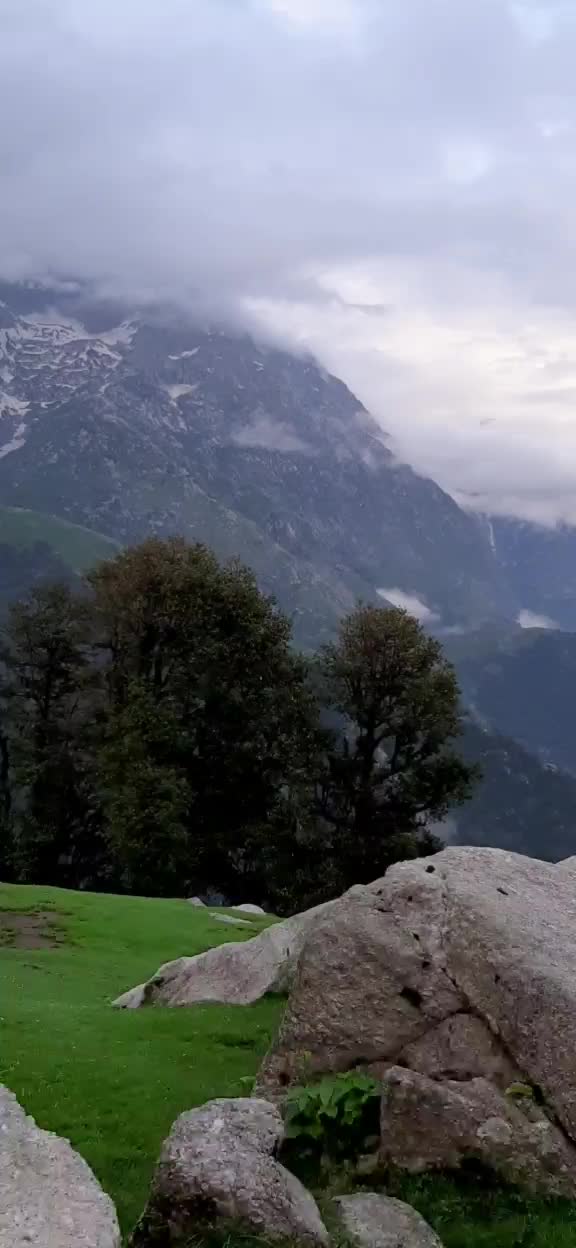 @Nidhee_Sh