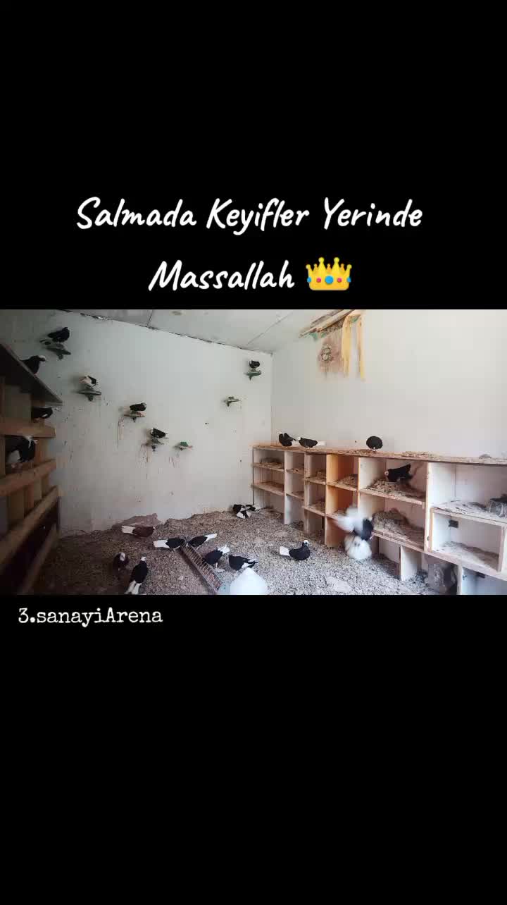 @İsmail Sarıteke