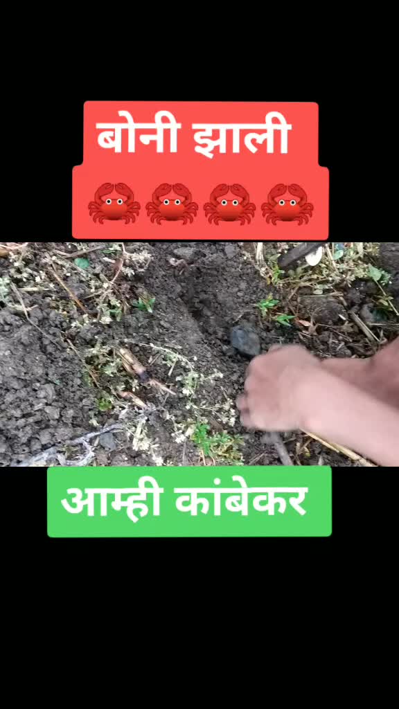 @king_of_bhiwandi