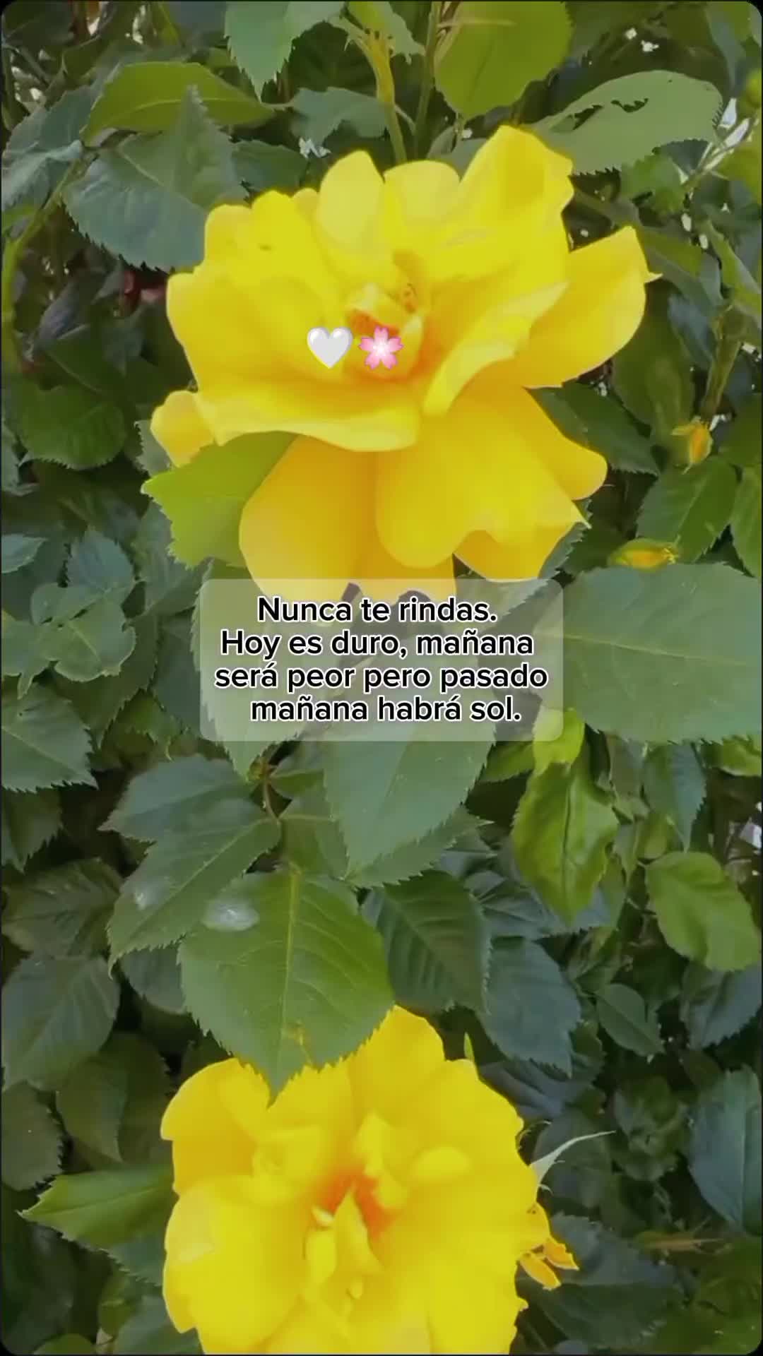 @mari_bel