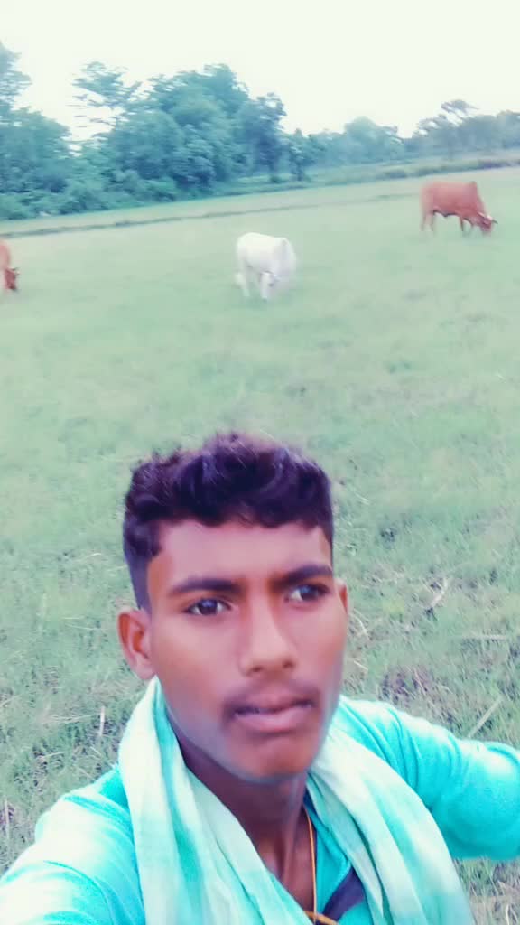 @Babulu Bagarti