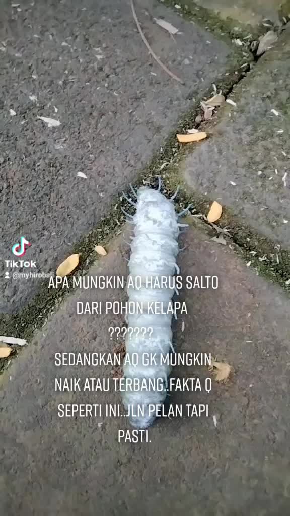@myhirobali