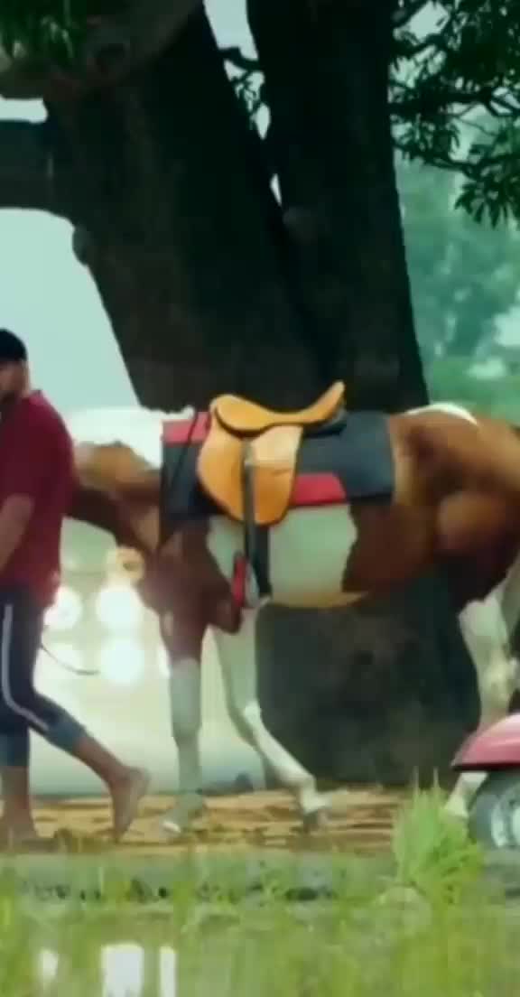 @user898777