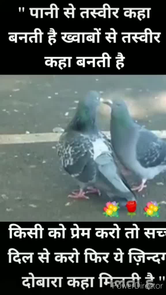 @HR 20 WALA BAAZ 🦅