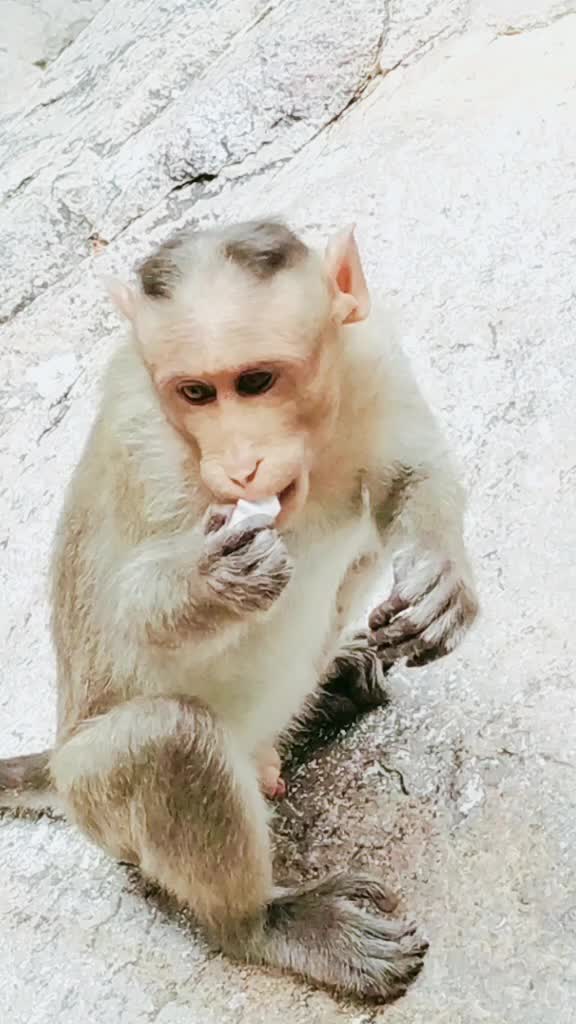 @𝗥𝗼𝗰𝗸𝗬