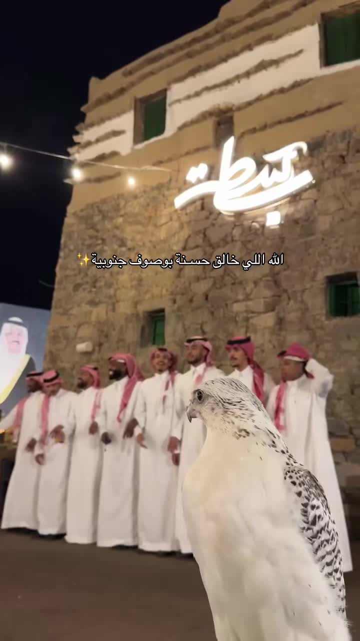 @ريشة صقر