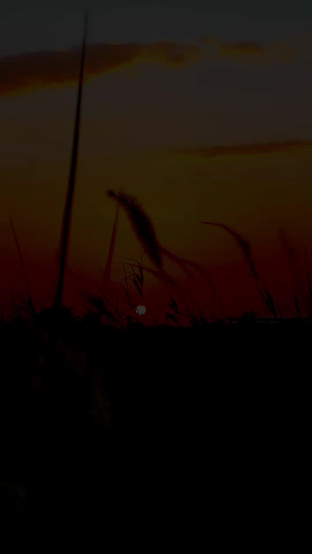 @(✷‿◉رضــــــــيـــــــّوُي)