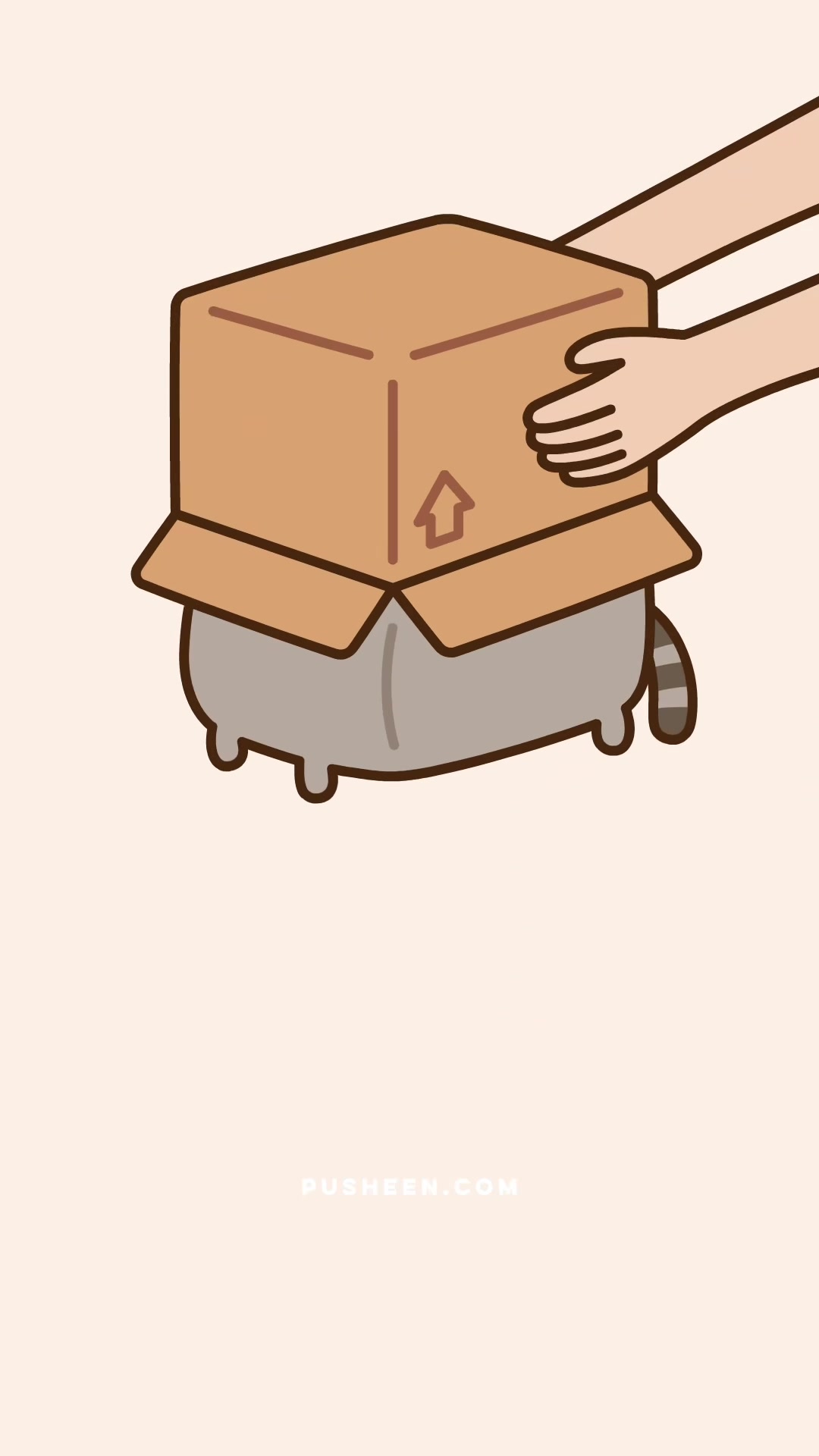 @алая рината 12.11 #CUTEPUSHEEN
