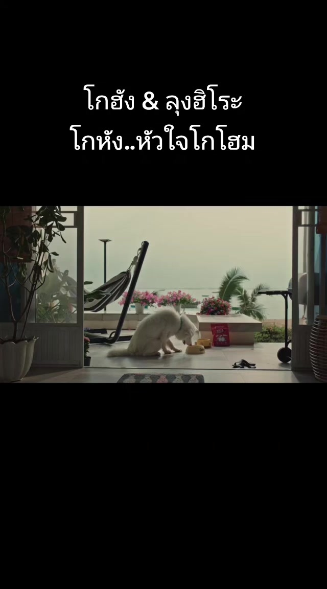 @🌷FC.พี่ตาต้า_38.7K🍃