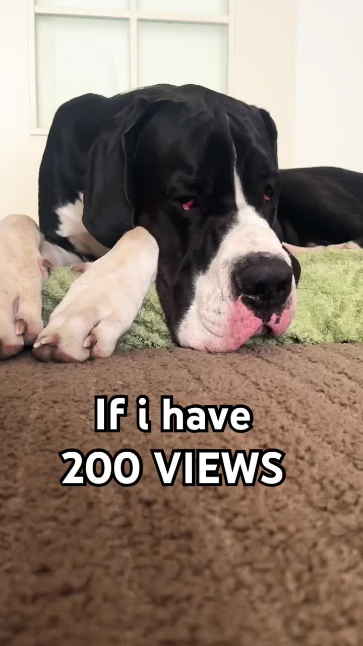 @MissBosse