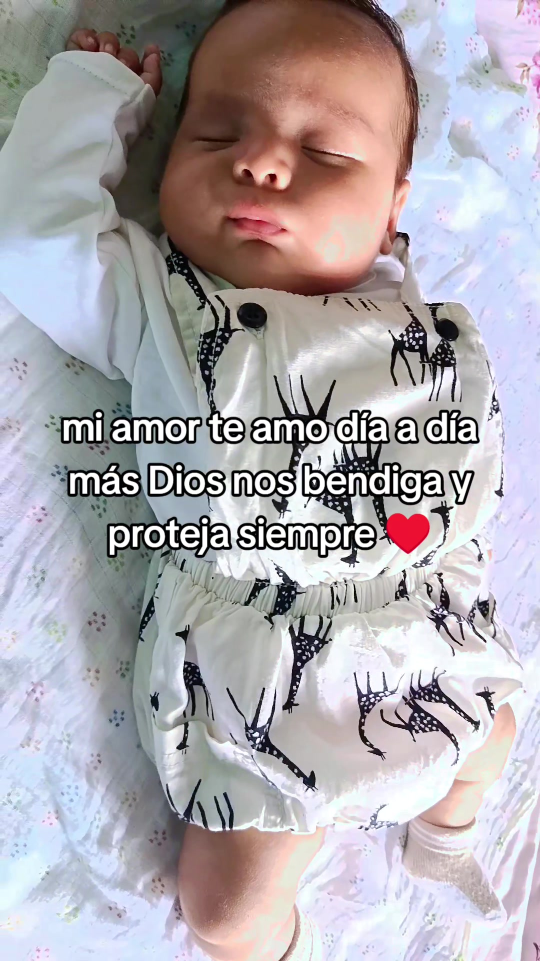 @Arianacurillo