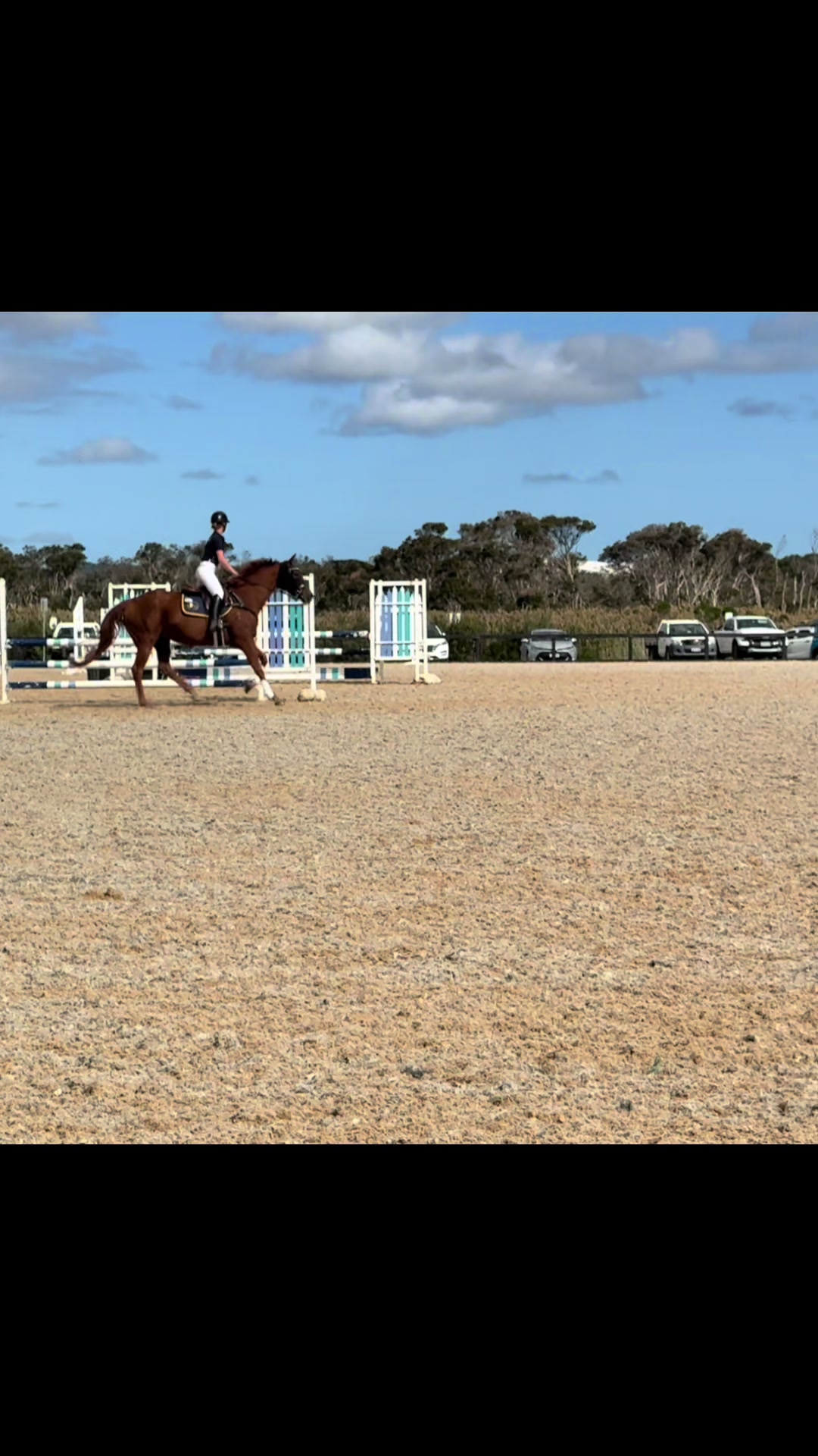 @skye.oequestrian38
