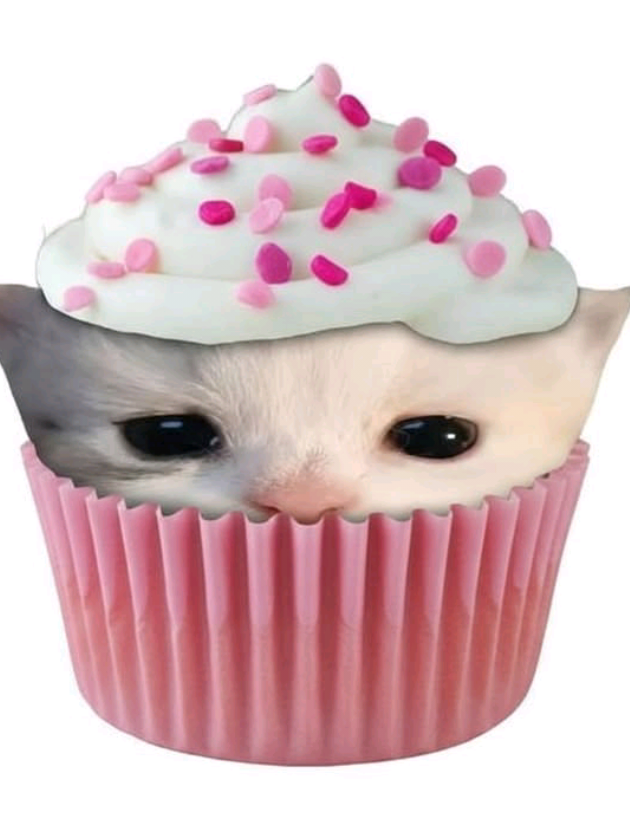@.⋆♱