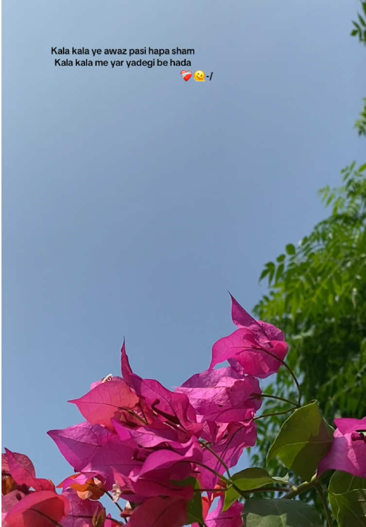 @๐ชซ%