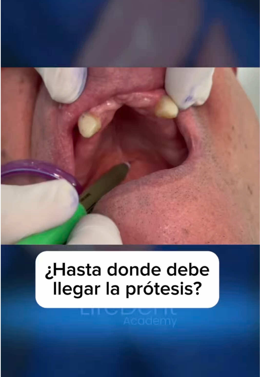 @lifedentacademy