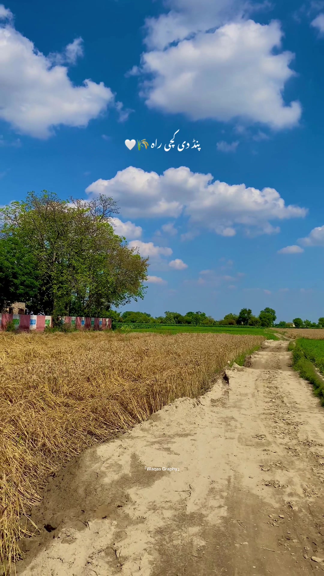 @𝙒𝙖𝙦𝙖𝙨 𝘎𝘳𝘢𝘱𝘩𝘺