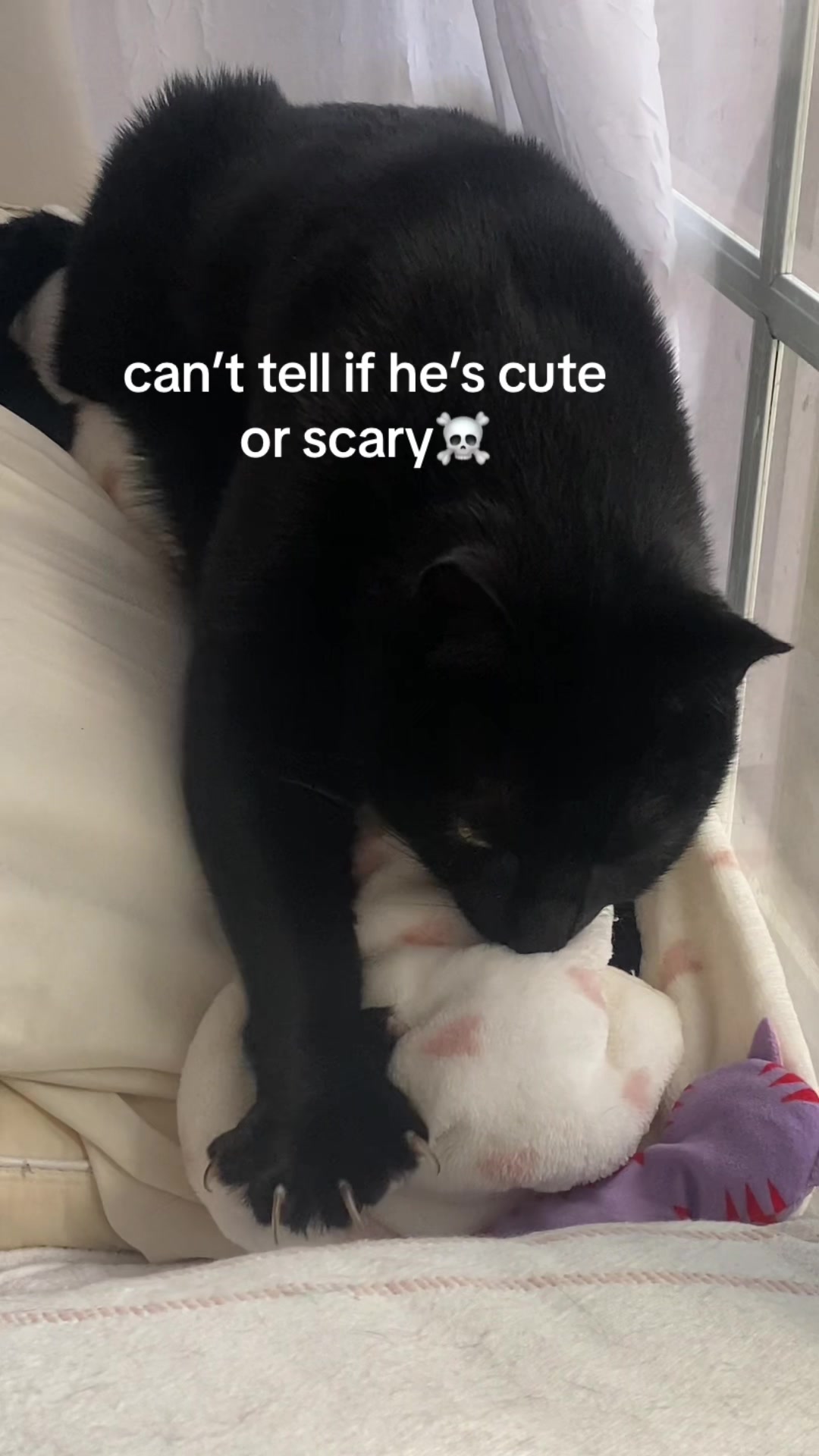 @Mr. Tiny Bagheera