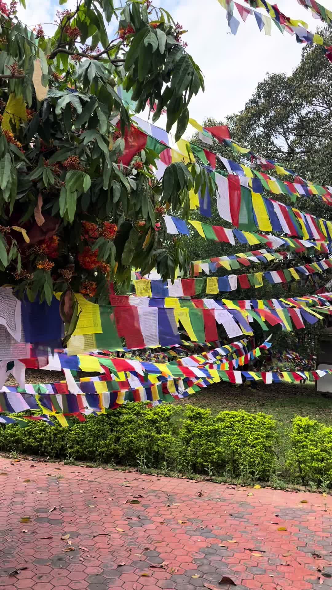 @Lalitpur
