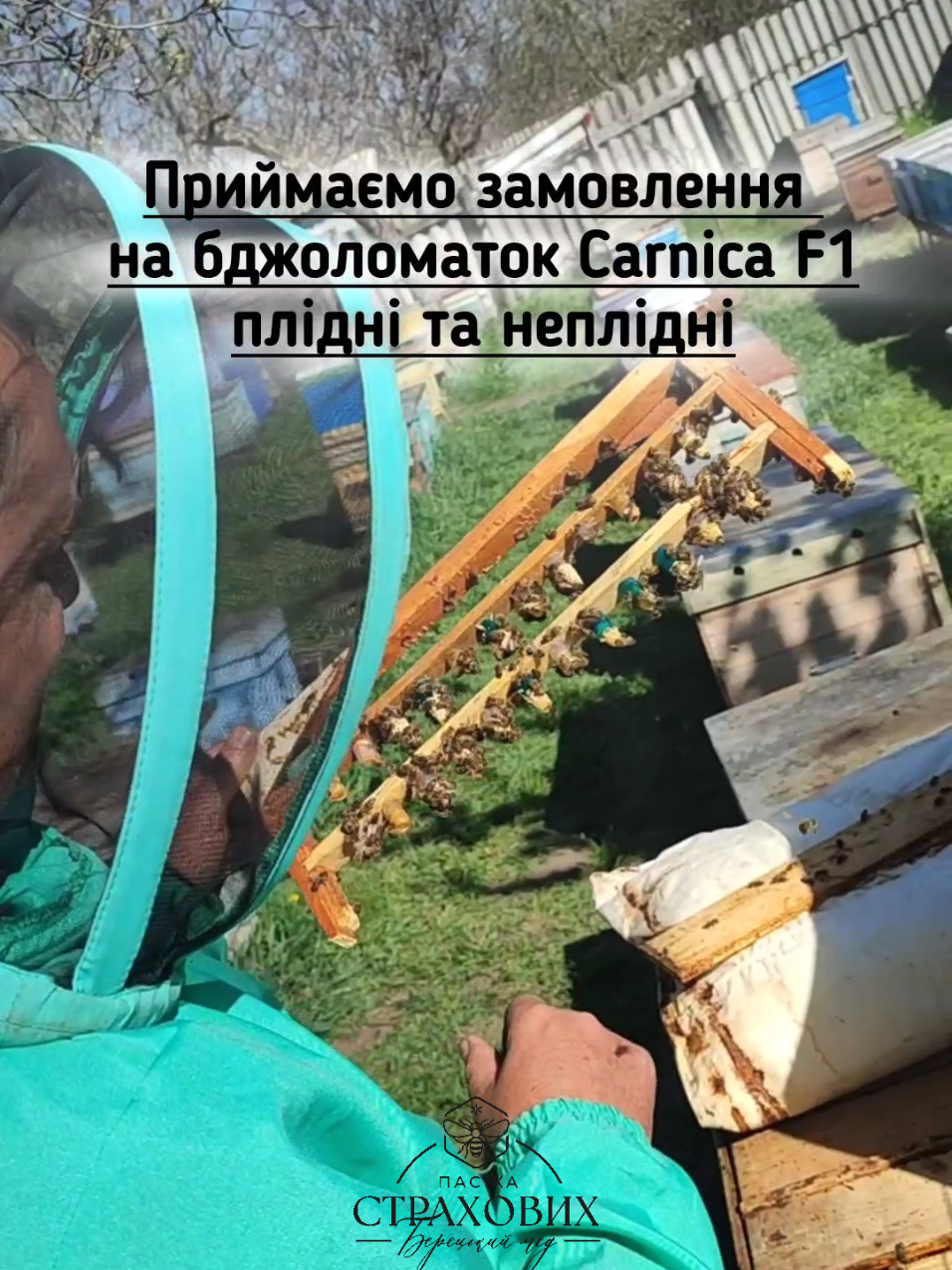 @Берецький мед