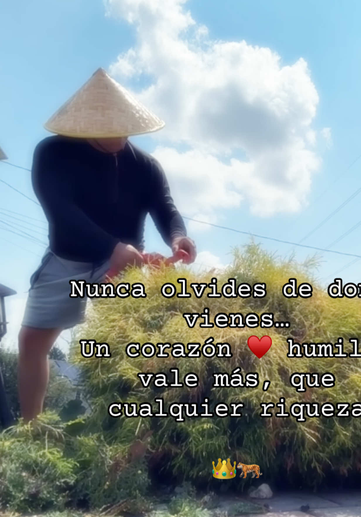 @Rene Lema