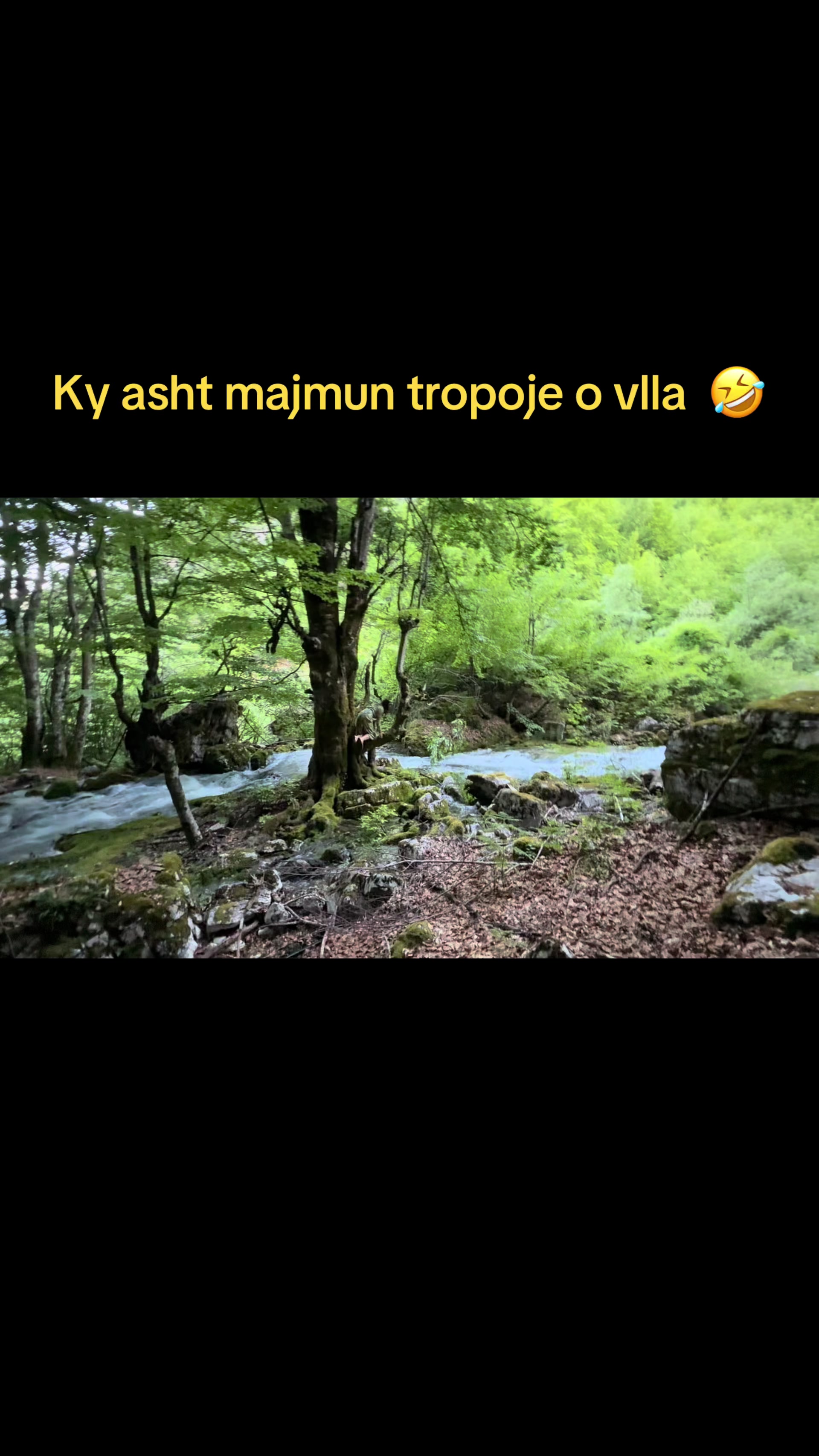 @Arjola Demiri