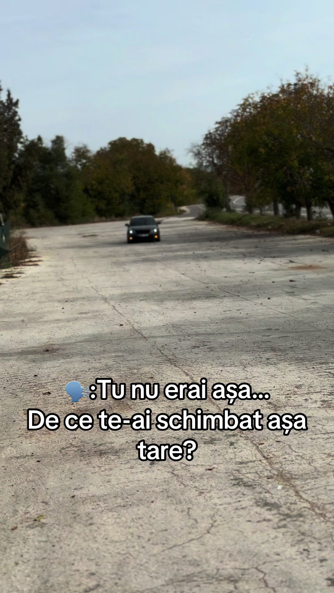 @Țîbulică
