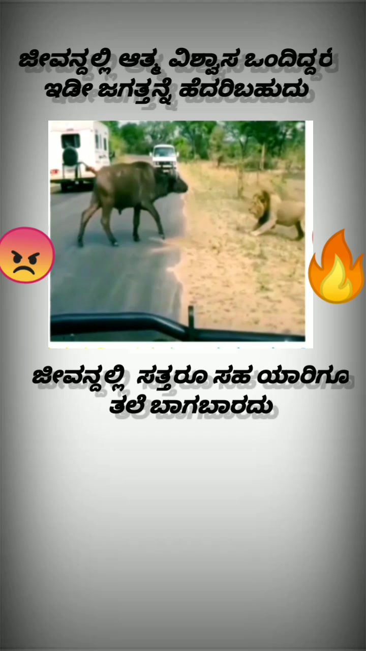 @ಬೆಳಗಾವಿ ಕನ್ನಡಿಗ💖