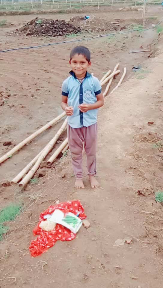 @Rahul Kumar Sahu7971