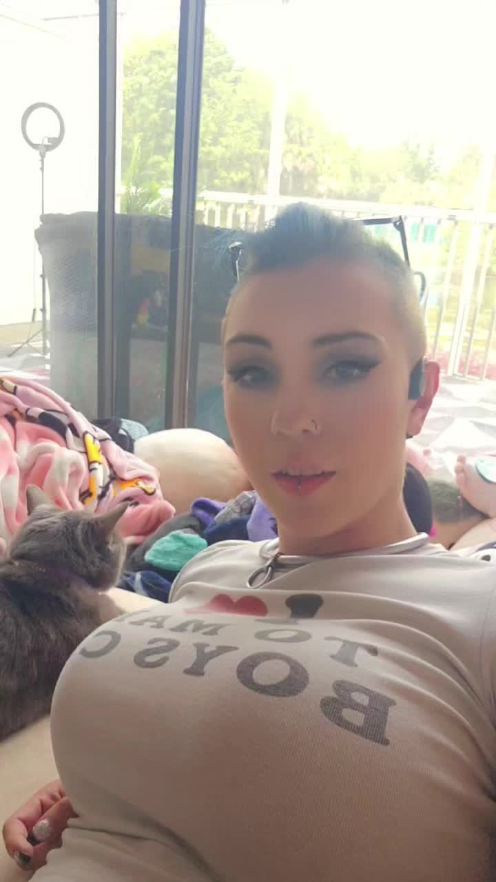 @Skylar Calico