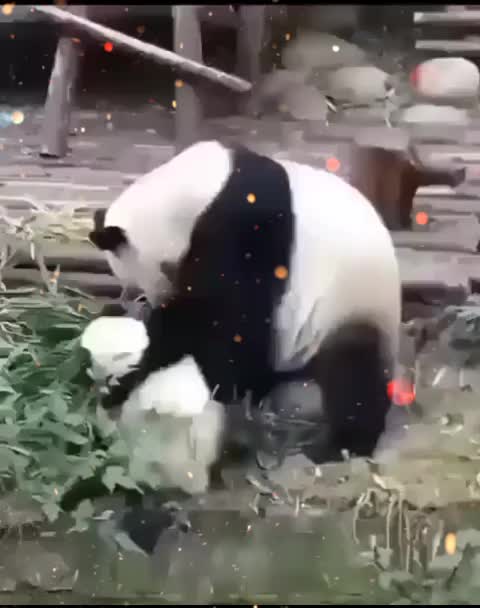 @C&agrave;řŕ&yacute; S&aring;&iacute;ņ&iuml;