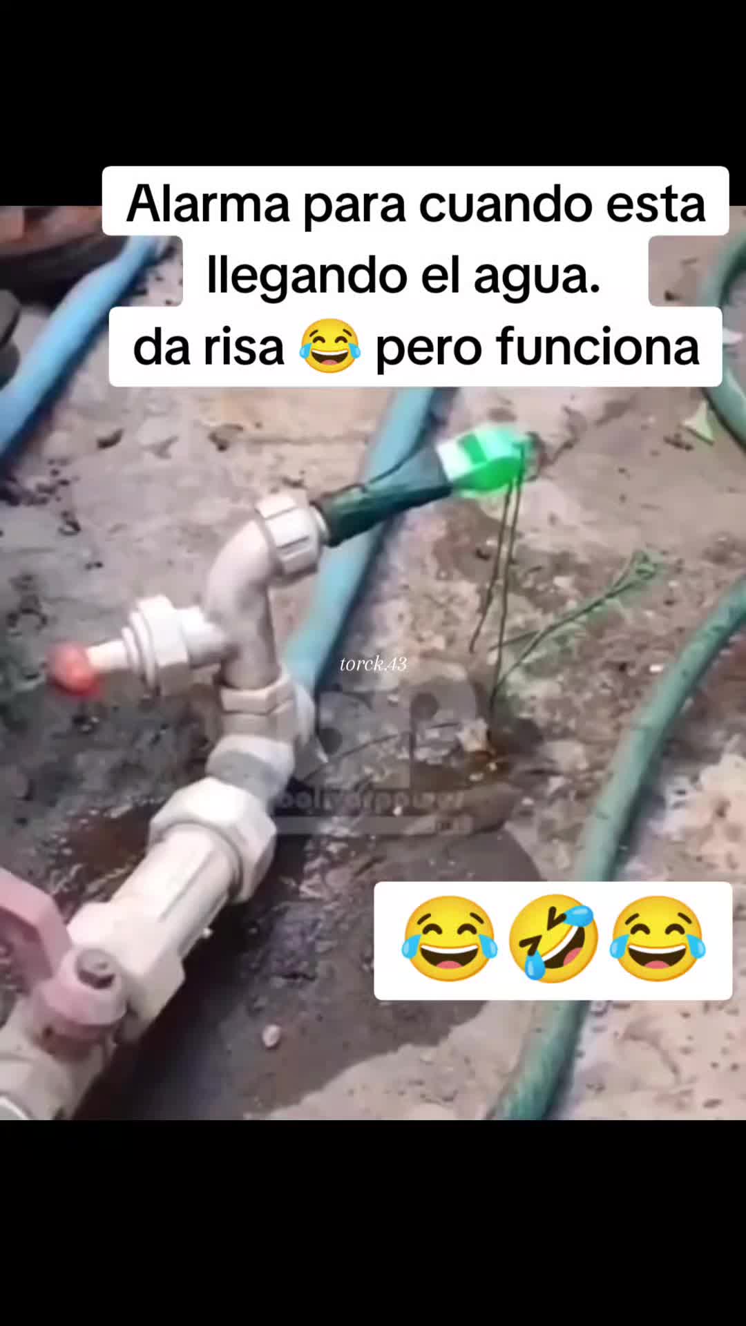 @Bravo0503