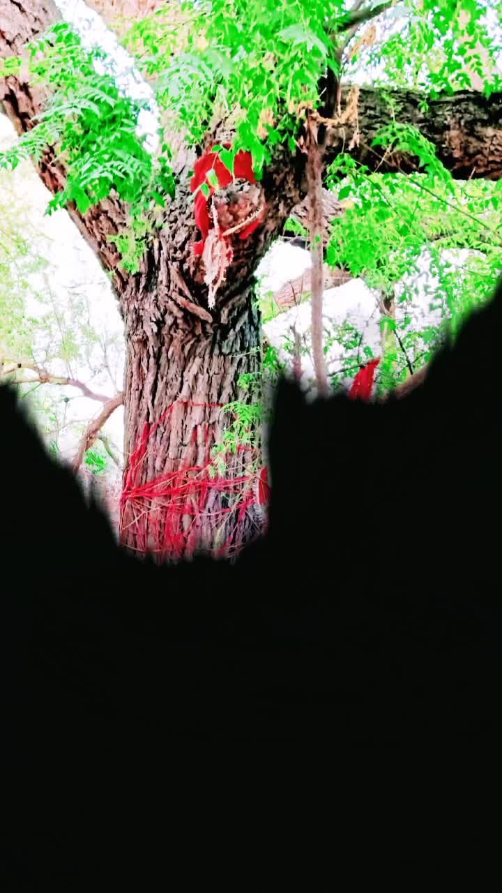 @Ravi Kamboj407