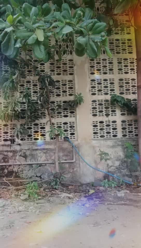@🚫⚡Rutik Panchage⚡🚫