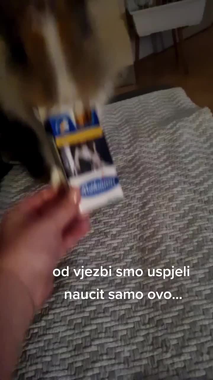@eleonora