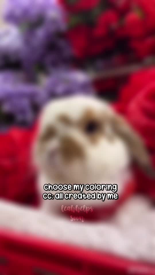 @Logged out