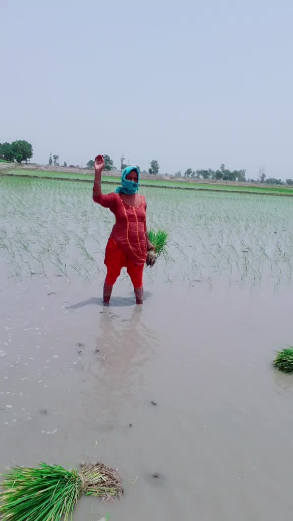 @Aman Gill