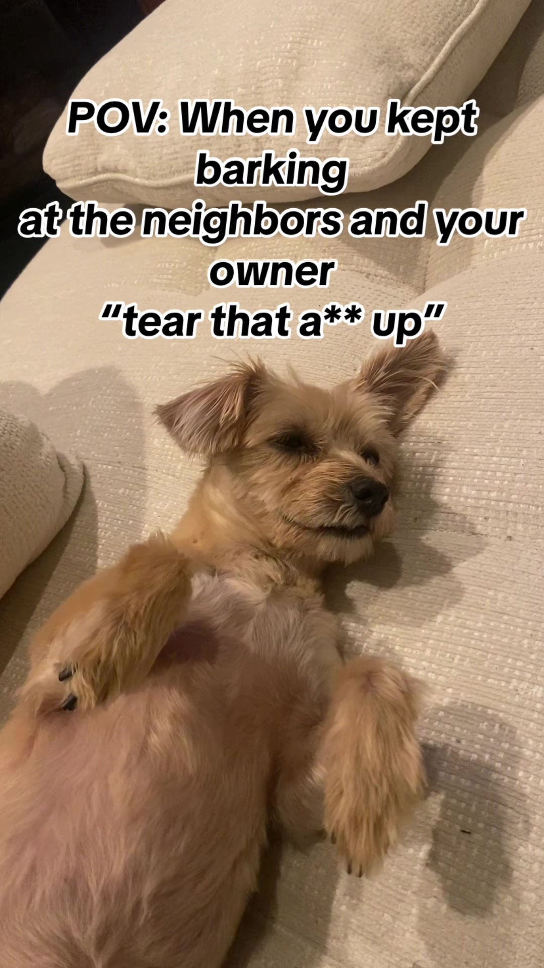 @On Tray’s Table