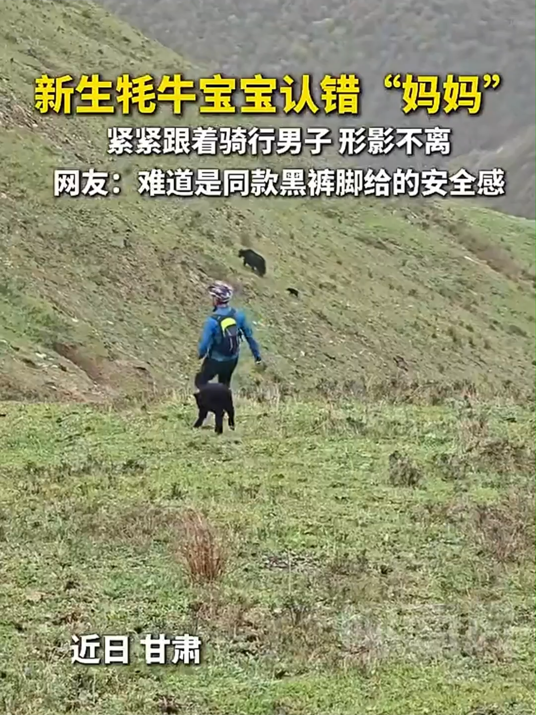 @闽南风～