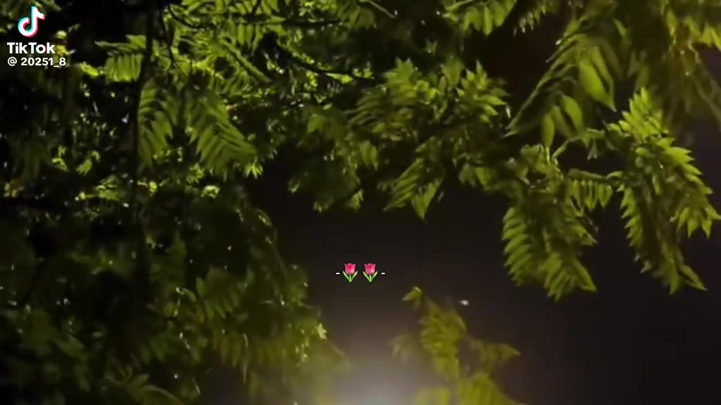 @ابو زامل 🔚🤍