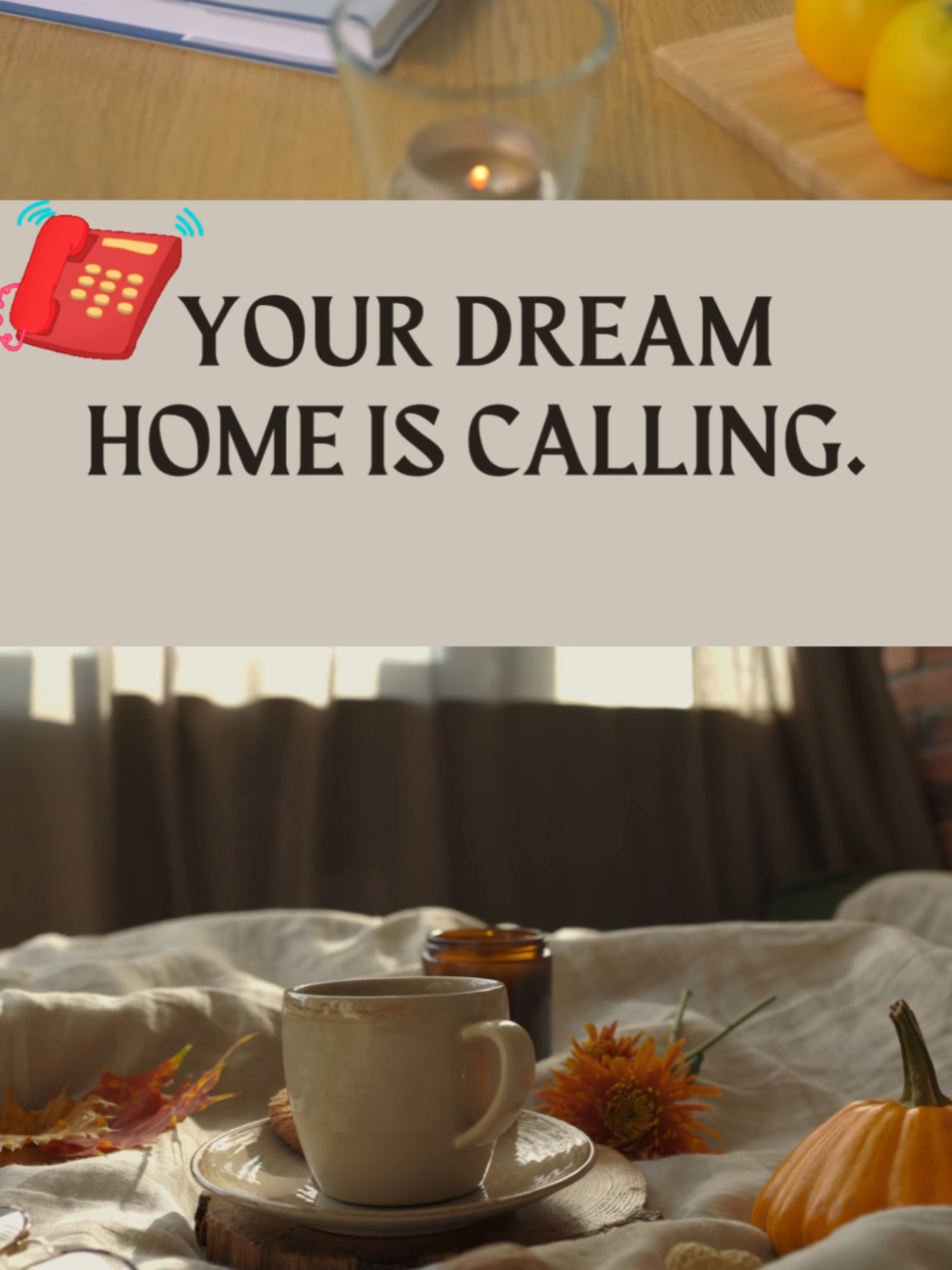 @realtor.mattv