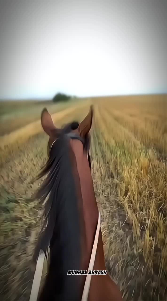 @125xJannan