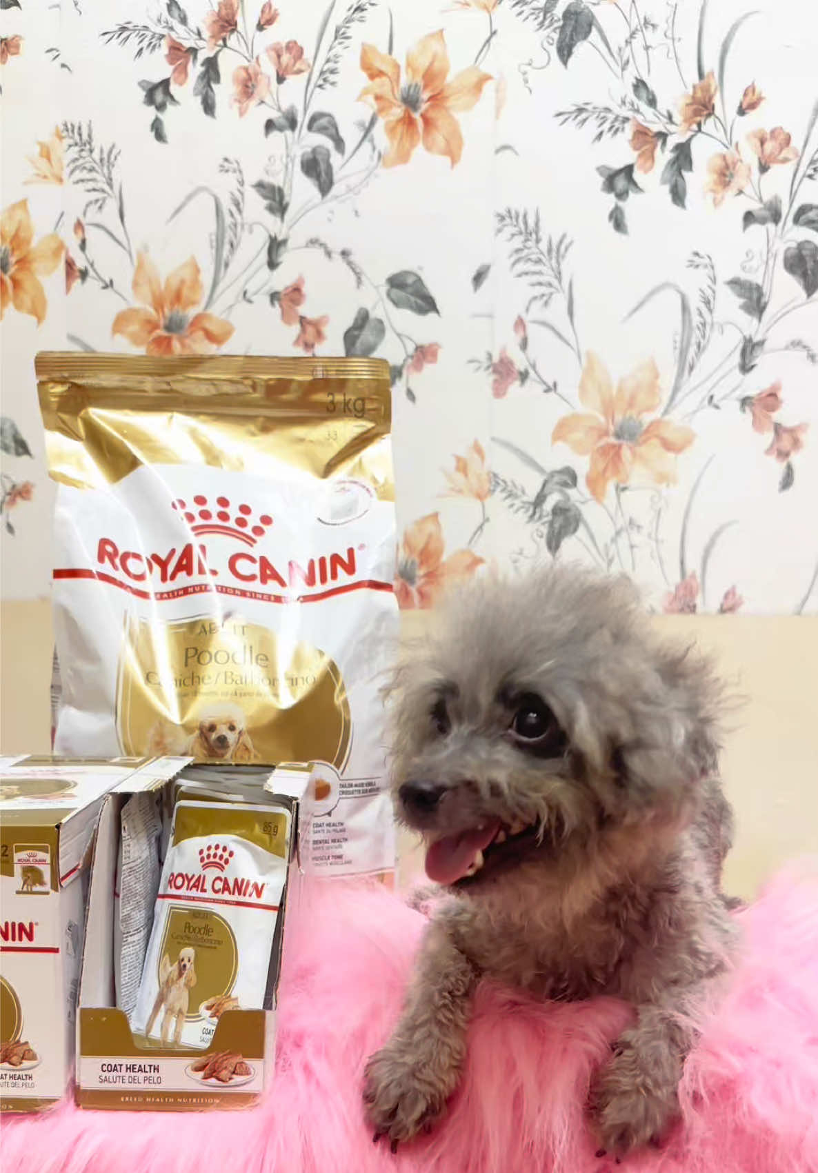 @Fika | Mamoy 14 Anak Bulu🐶