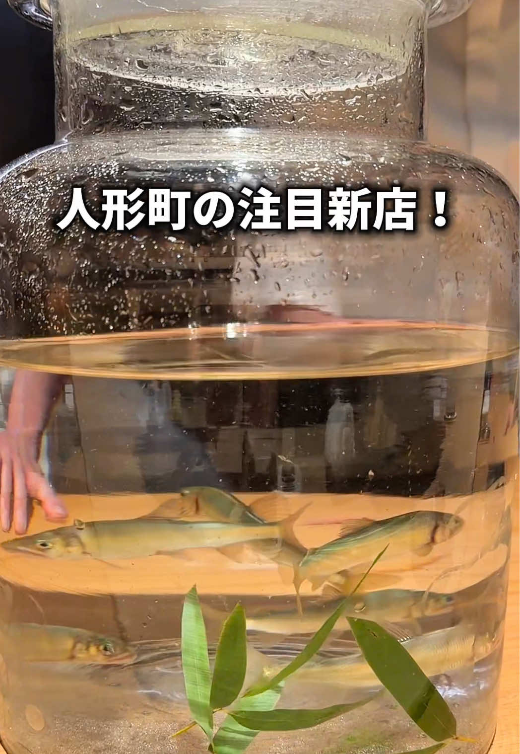 @食べすぎグルメ旅🍽-Japanese food-